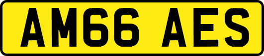 AM66AES