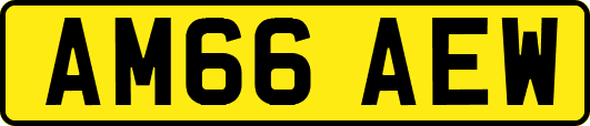 AM66AEW