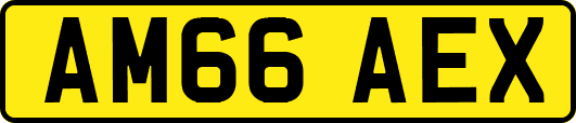 AM66AEX