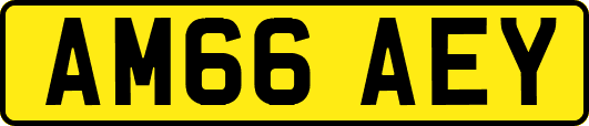 AM66AEY