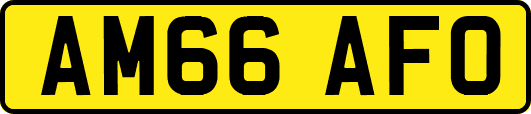AM66AFO