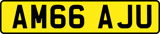 AM66AJU
