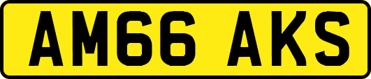 AM66AKS