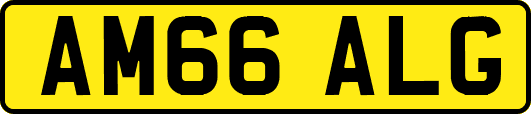 AM66ALG