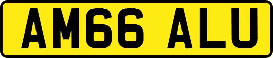 AM66ALU