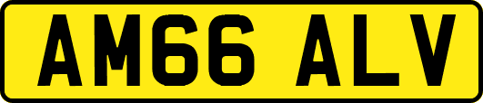 AM66ALV
