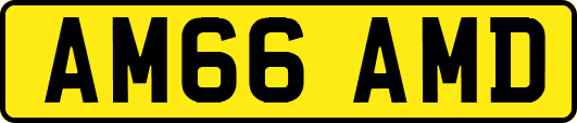 AM66AMD