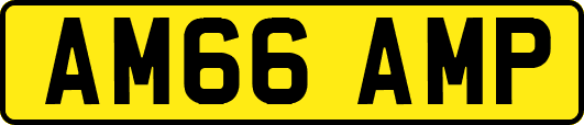 AM66AMP