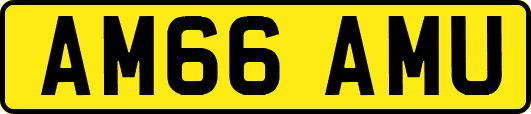 AM66AMU