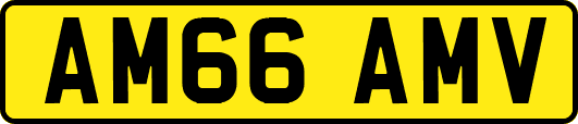 AM66AMV