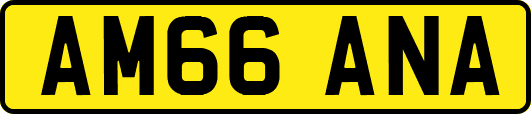 AM66ANA
