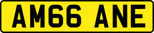 AM66ANE