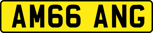 AM66ANG