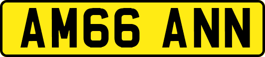 AM66ANN