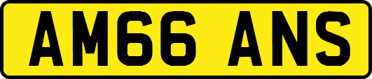 AM66ANS