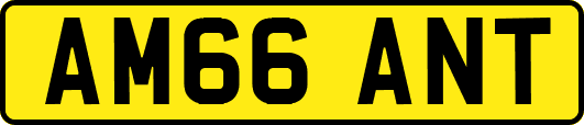 AM66ANT