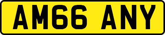 AM66ANY