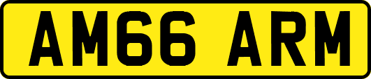 AM66ARM
