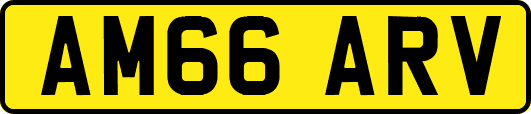 AM66ARV