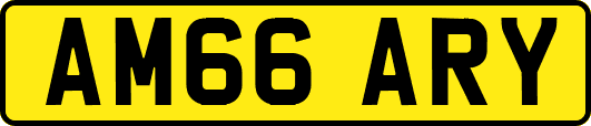 AM66ARY