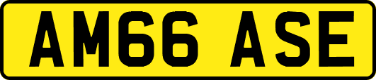 AM66ASE