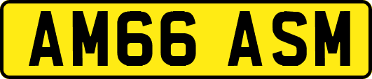 AM66ASM