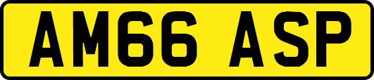 AM66ASP