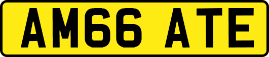AM66ATE