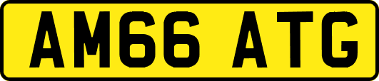 AM66ATG