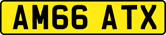 AM66ATX
