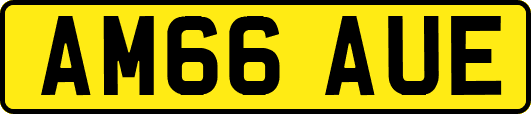 AM66AUE