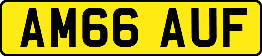 AM66AUF