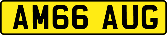 AM66AUG