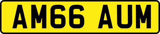 AM66AUM