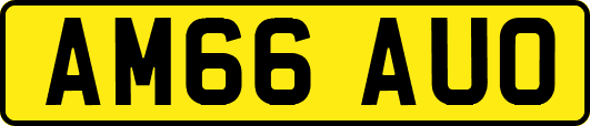 AM66AUO