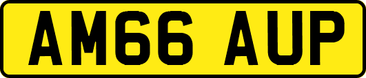 AM66AUP