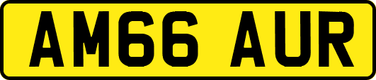AM66AUR