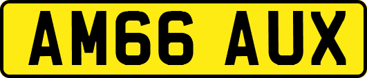 AM66AUX