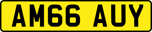 AM66AUY