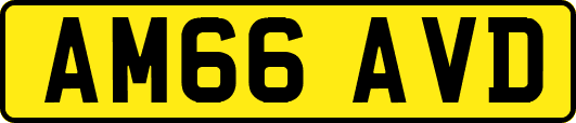 AM66AVD