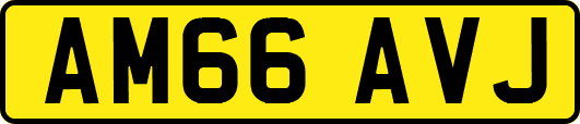 AM66AVJ