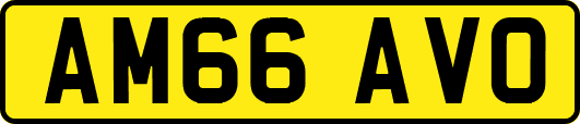 AM66AVO