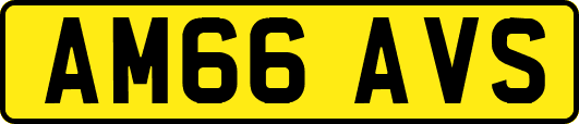 AM66AVS