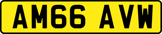 AM66AVW