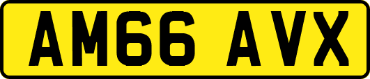 AM66AVX