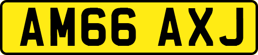 AM66AXJ