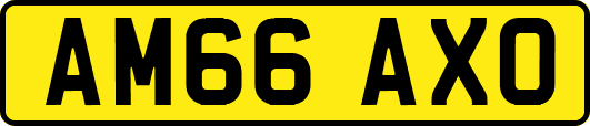 AM66AXO