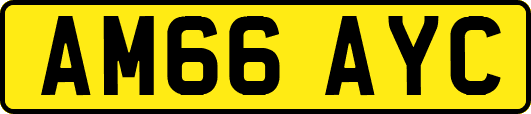 AM66AYC
