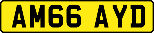 AM66AYD