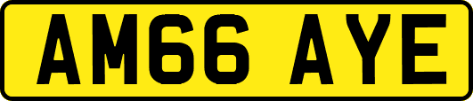 AM66AYE